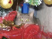 Фотография Фединой Натальи