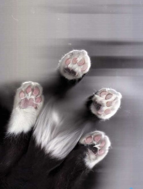 Анна Indigo фотография #41