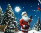 Onur Koç фотография #30 (источник - https://vk.com/id110792129)