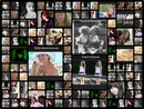Тійка Шлапак фотография #3 (источник - https://vk.com/id142939805)