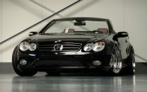 Фотография Танина Владимира