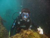 Сергій Бордюг фотография #5 (источник - https://vk.com/id9063979)