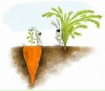 Фотография Андреева Александра