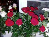 Фотография Филипповой Марии