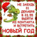 Ілля Подгорський фотография #14 (источник - https://vk.com/id137327744)