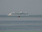 Фотография Lyasheva Marina