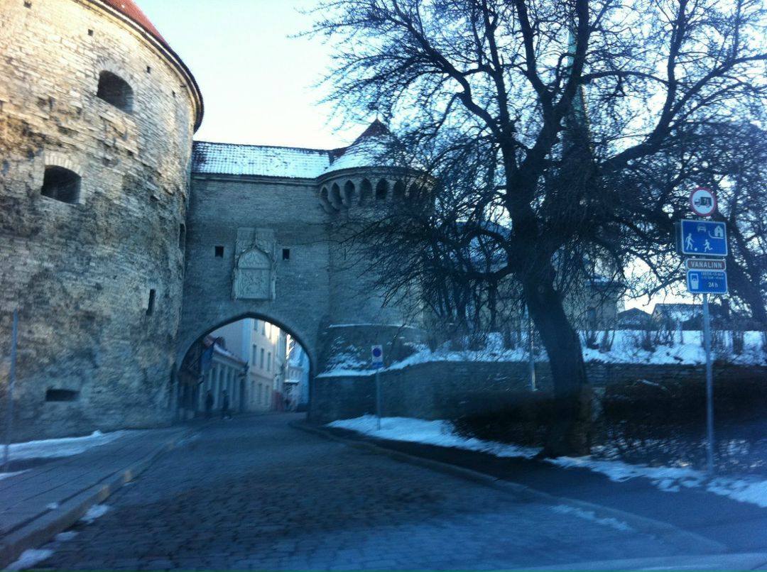 Антон Догадаев фотография #39