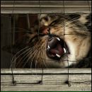 Вовік Халєєв фотография #50 (источник - https://vk.com/id35009331)