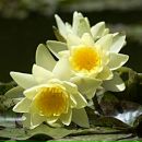 Фотография Киргинцев Сергей