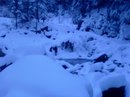 Анатолій Шведик фотография #44 (источник - https://vk.com/id153085149)
