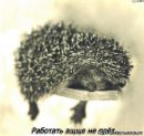Ірина Твердохліб фотография #29 (источник - https://vk.com/id18294527)