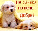 Христя Зінич фотография #14 (источник - https://vk.com/id140209134)