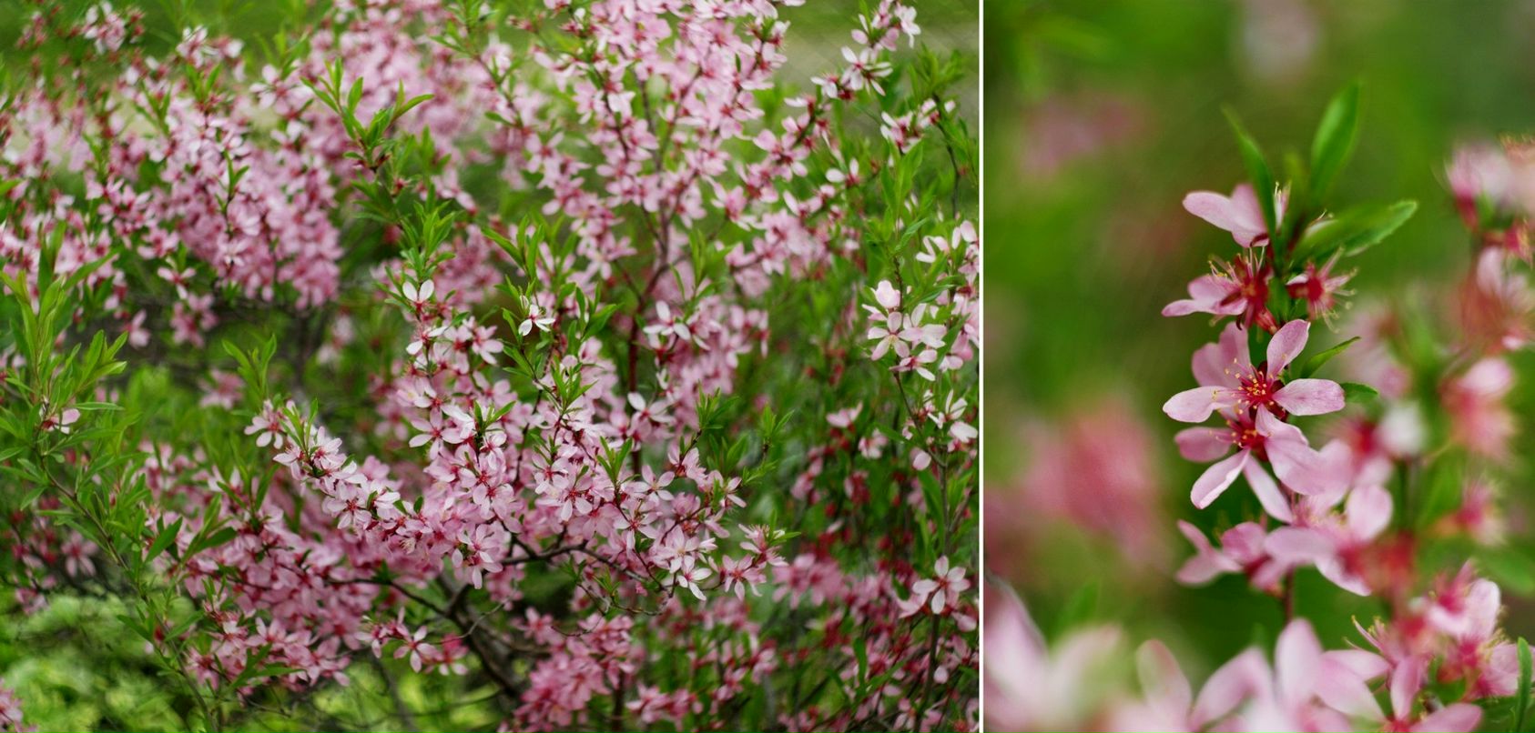 Ольга Моха фотография #32