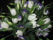 Фотография Одинцовой Анны