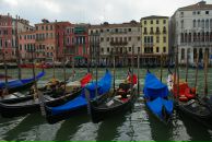 Анюта Буданова фотография #43 (источник - https://vk.com/id1504218)