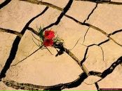 Фотография Пути Ислама