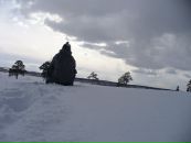 Фотография Толстолуцкого Никиты