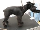 Κсения Κудрявцева фотография #30 (источник - https://vk.com/id136591194)