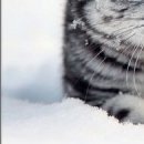 Юлія Онищенко фотография #8 (источник - https://vk.com/id99341648)