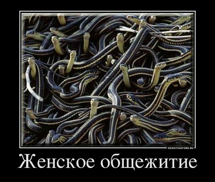 Светлана Франкова фото №4