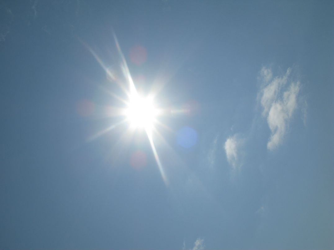 Леди Липа фотография #7