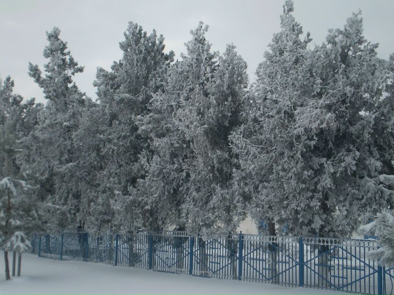 Иван Иванов фотография #24