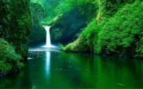 Фотография Филисьевой Алеси