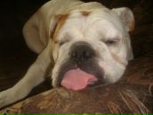 Тоха Авдеев фотография #26 (источник - https://vk.com/id25946668)