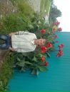 Толік Хмеляр фотография #1