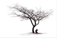 Фотография Кренёва Игоря