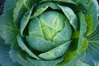 Фотография Лукиной Ольги