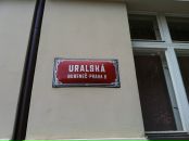 Али Хасан фотография #4 (источник - https://vk.com/id3274396)