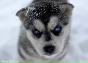 Андрій Матковський фотография #17 (источник - https://vk.com/id48410038)