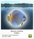 Иван Бабинец фотография #17 (источник - https://vk.com/id120069385)