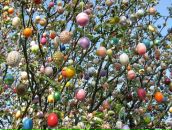 Фотография Манджос Александры