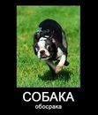 Ростік Білоусов фотография #18 (источник - https://vk.com/id86233901)