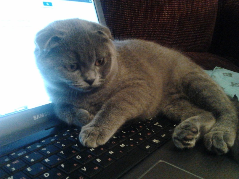 Сергей Павлов фотография #32