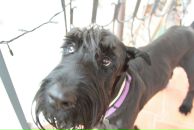 Фотография Смирновой-Кольцовой Оли