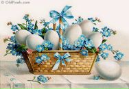 Фотография Костенич Елены