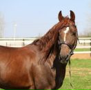 Фотография Дорохиной Екатерины