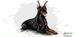 Amicus Verus фотография #2 (источник - https://vk.com/id2248887)