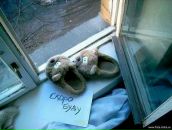 Фотография Калины Екатерины