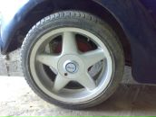 Томаш-іштван Кіш фотография #38 (источник - https://vk.com/id73210432)