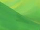 Наталя Стефанів(яцків) фотография #33 (источник - https://vk.com/id135166263)