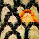 Віктор Хоменко фотография #7 (источник - https://vk.com/id17317868)