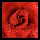 Віталік Сидоренко фотография #16 (источник - https://vk.com/id96005438)