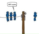 Фотография Баранова Вячеслава