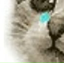 Діма Скринник фотография #11 (источник - https://vk.com/id21423407)