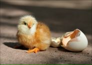 Фотография Вилкова Егора