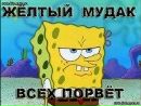 Коля Турынський фотография #43 (источник - https://vk.com/id165766500)